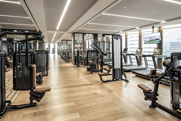 A ciência orienta o condicionamento físico e desfruta de uma vida saudável