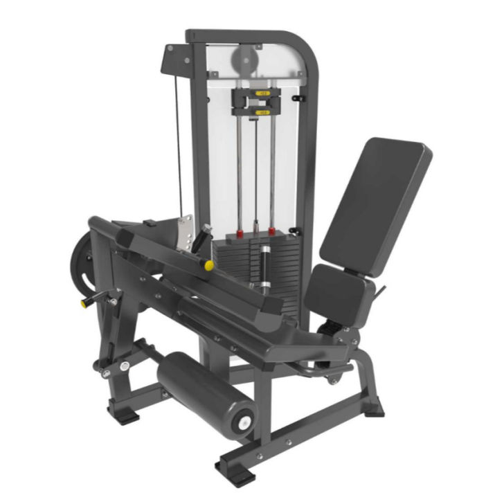 Extensão de perna Leg Curl
