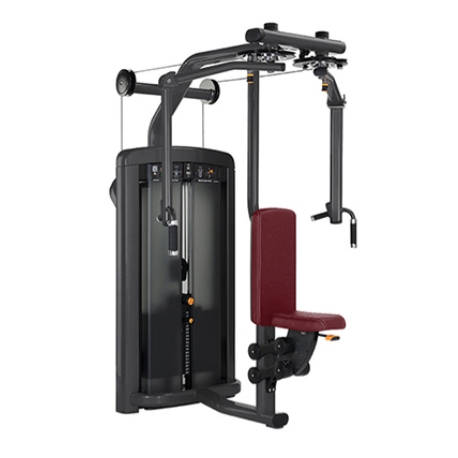Pec Fly / Máquina de mosca reversa