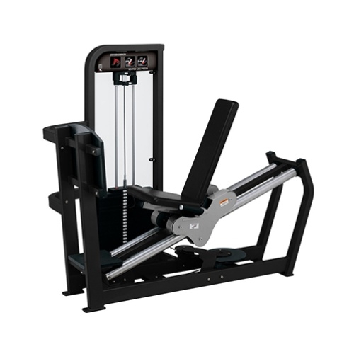 Leg press sentado