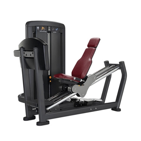 Máquina de leg press sentada